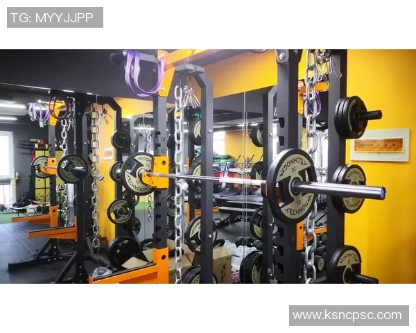 全面提升身体素质的健身器材推荐与使用指南