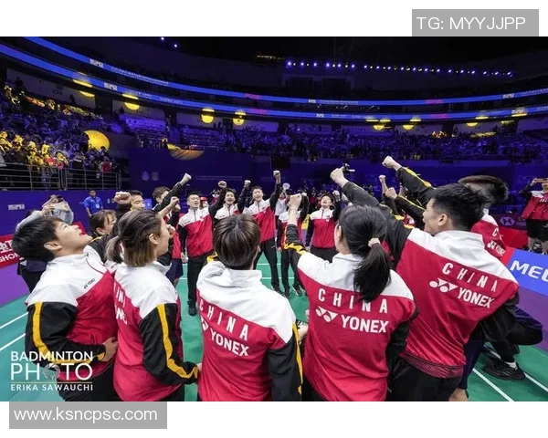 南京羽毛球队团队协作的独特优势与其他球队的对比分析