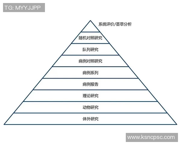 杭州篮球队控制策略解析及其对球队发展的影响探讨
