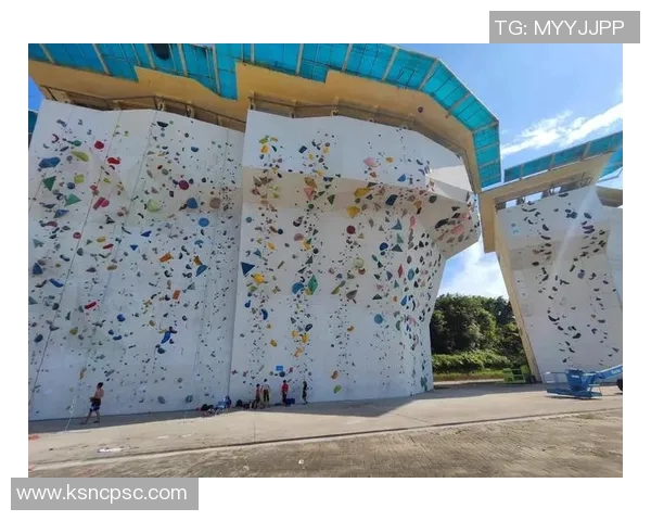 广州攀岩队实力引发热议争议背后的训练与比赛分析