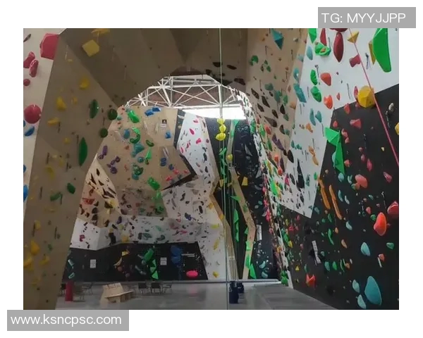 武汉攀岩队荣登全国攀岩意识排行榜第三名彰显实力与潜力