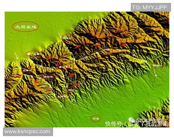 深圳攀岩队防守体系解析与战术运用全景探讨