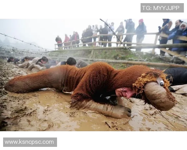 科学极限运动中的耐力训练方法探索与实践技巧分享