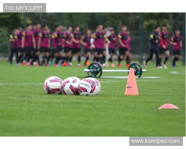 武汉排球队边路渗透战术解析及其在排球比赛中的应用探讨