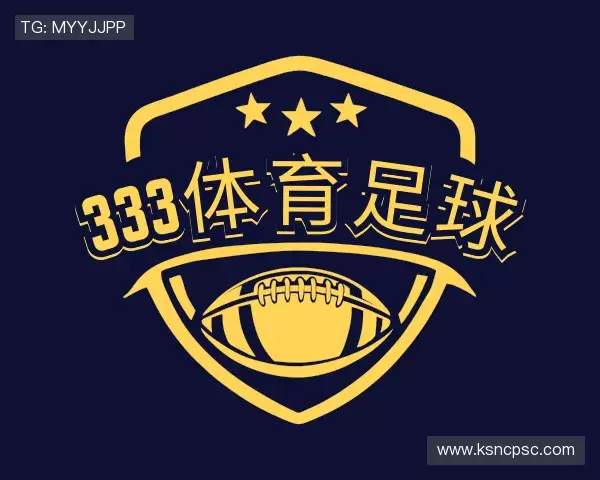 解读333体育